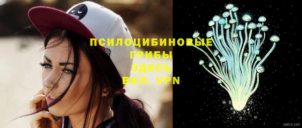 a pvp Верея