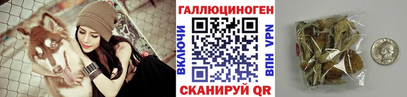 Псилоцибиновые грибы Psilocybe  что такое   гидра ССЫЛКА  Верхотурье 